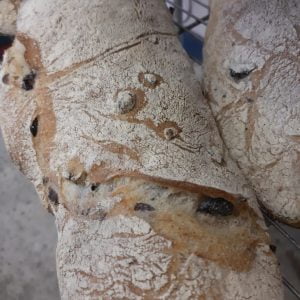 Ciabatta (Olive)